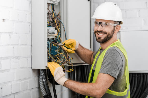 Best Licensed Electrician  in Ripley, TN