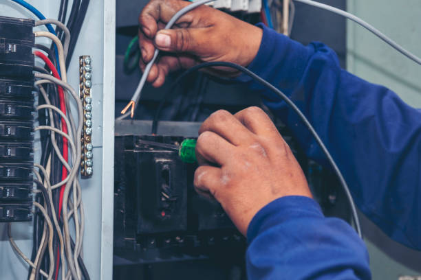 Best Local Electrician Companies  in Ripley, TN